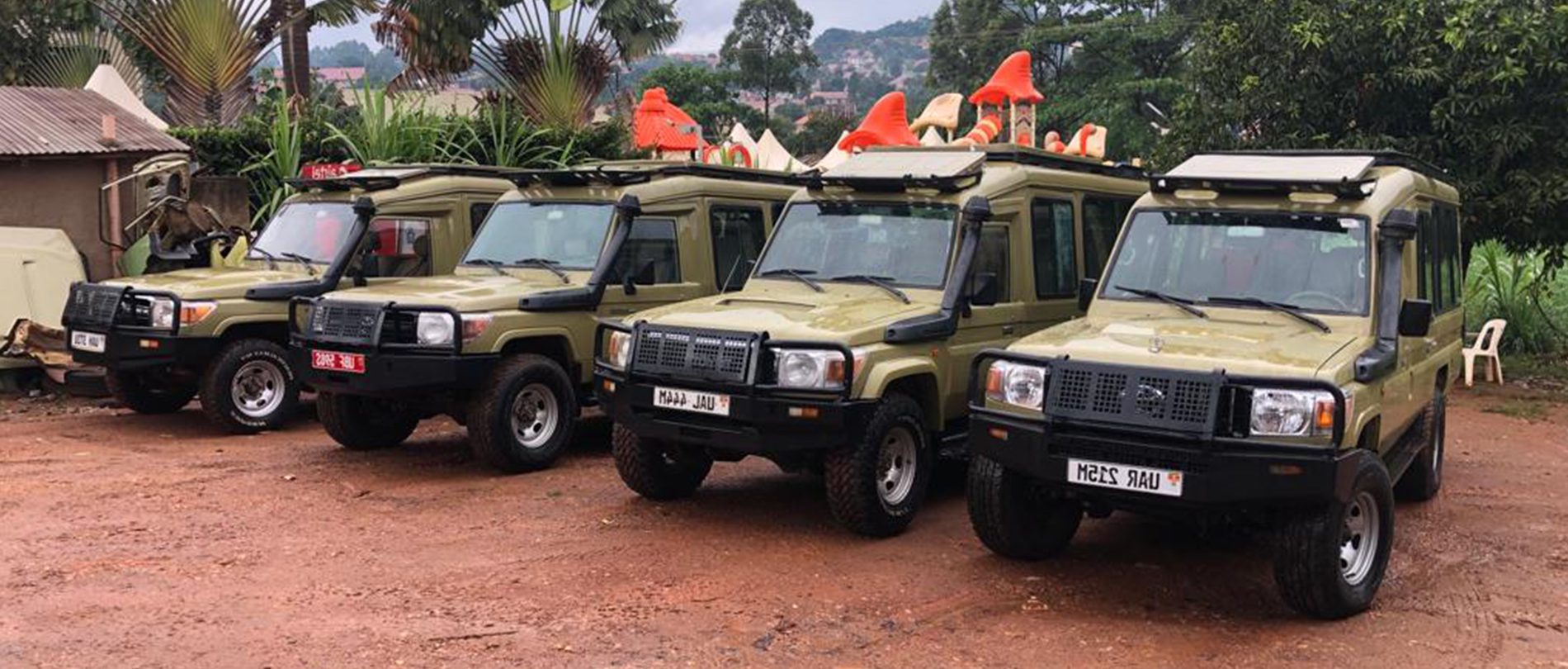 Safari vehicles game drives